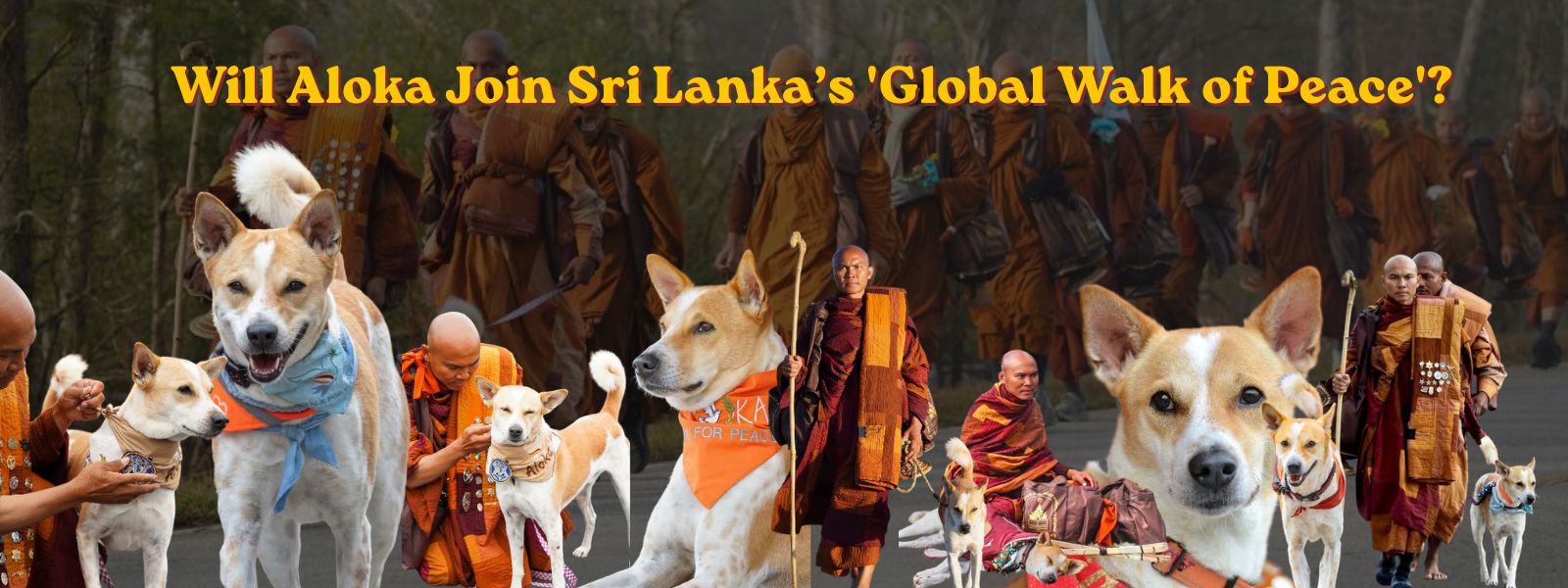 Will Aloka Join Sri Lanka’s Global Walk of Peace?